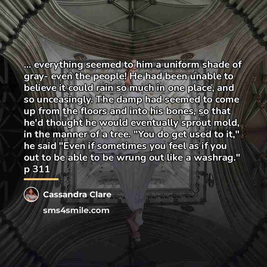 “... everything seemed to him a uniform shade of gray-…” quote by Cassandra Clare