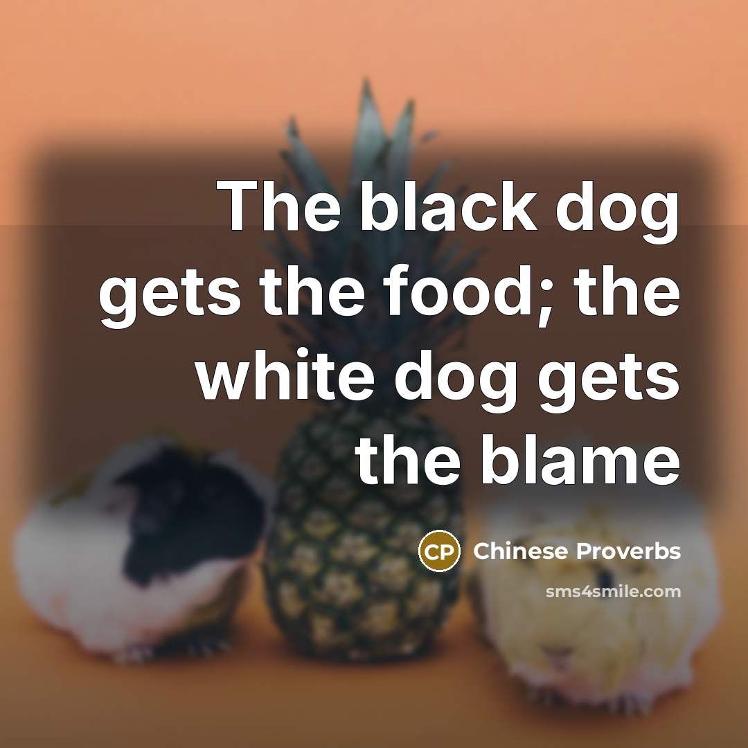 “The black dog gets the food; the white dog gets the blame” quote by Chinese Proverbs