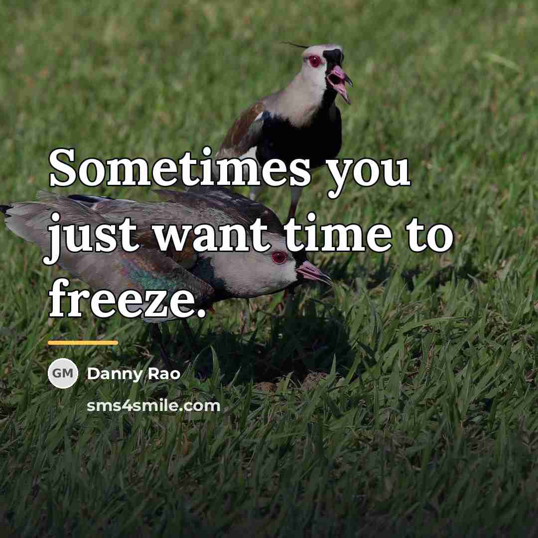 “Sometimes you just want time to freeze.…” quote by Danny Rao
