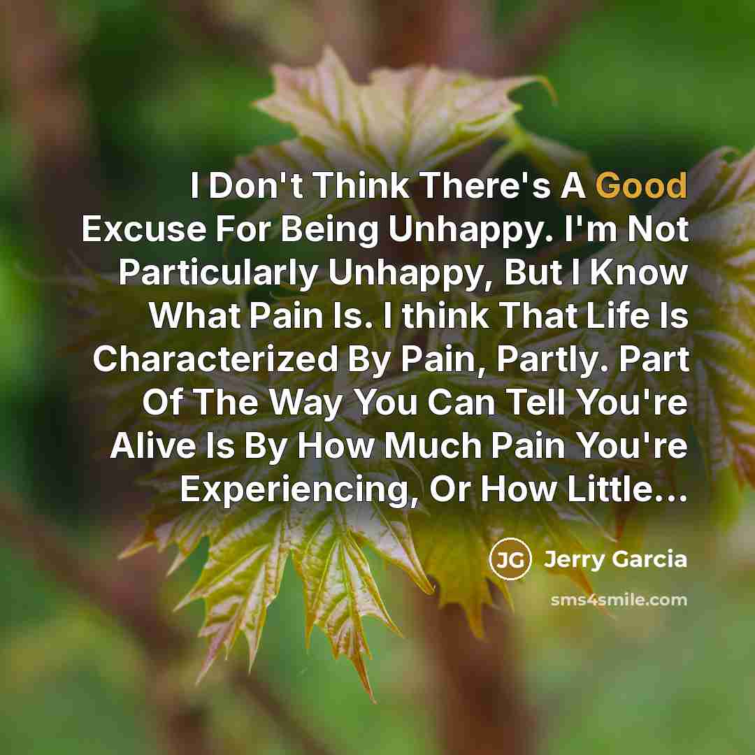 “I Don't Think There's A Good Excuse For Being Unhappy.…” quote by Jerry Garcia