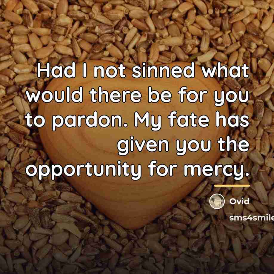 “Had I not sinned what would there be for you…” quote by Ovid