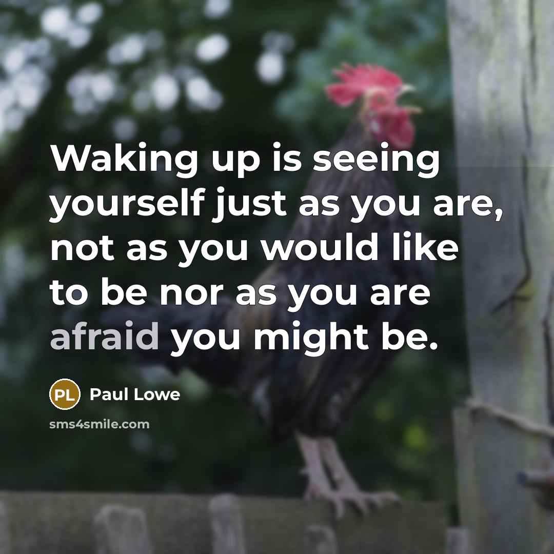 “Waking up is seeing yourself just as you are, not as you would like to be nor as you are afraid you might be.” quote by Paul Lowe