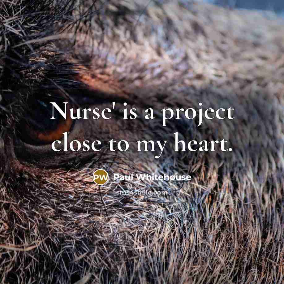 “Nurse' is a project close to my heart.…” quote by Paul Whitehouse