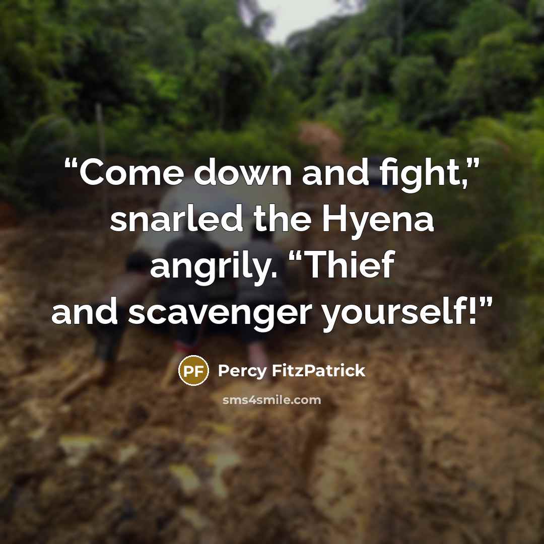 “Come down and fight,” snarled the Hyena angrily. “Thief and scavenger yourself!” quote by Percy FitzPatrick