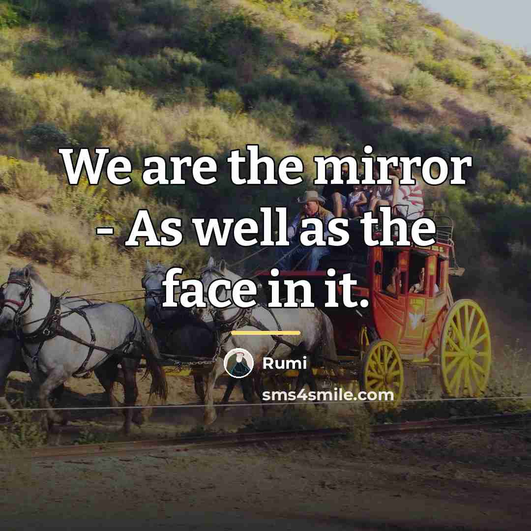 “We are the mirror - As well as the face…” quote by Rumi