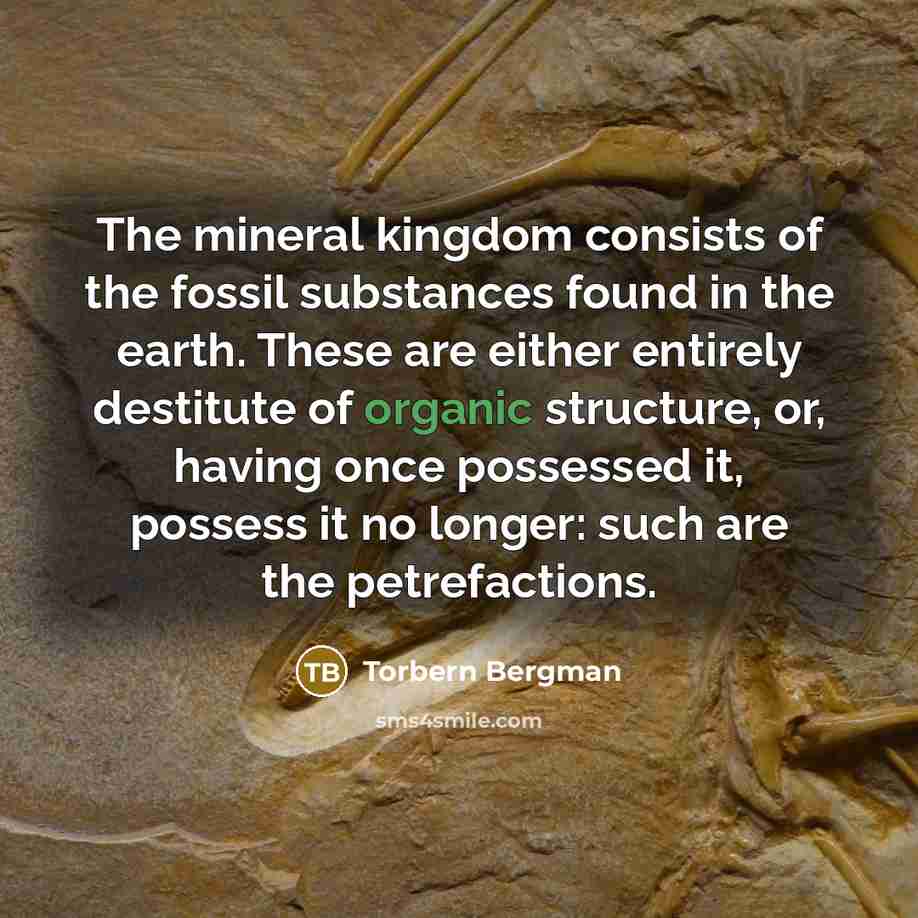 “The mineral kingdom consists of the fossil substances found in…” quote by Torbern Bergman