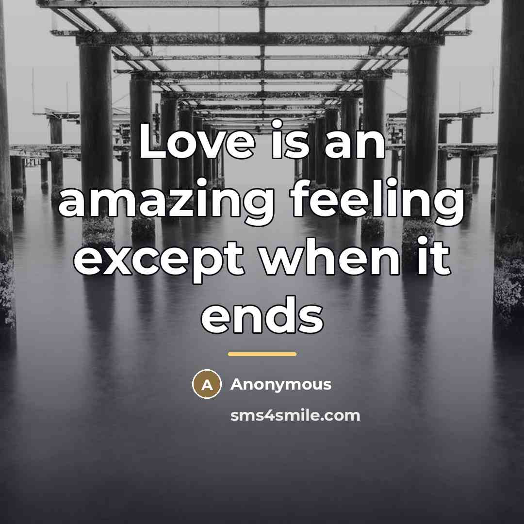 “Love is an amazing feeling except when it ends…” quote by Anonymous