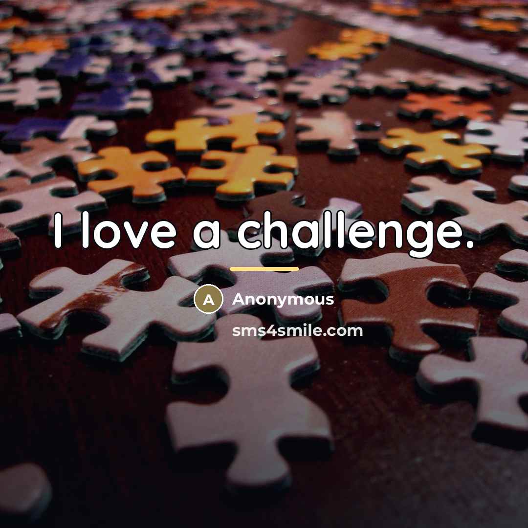 “I love a challenge.…” quote by Anonymous