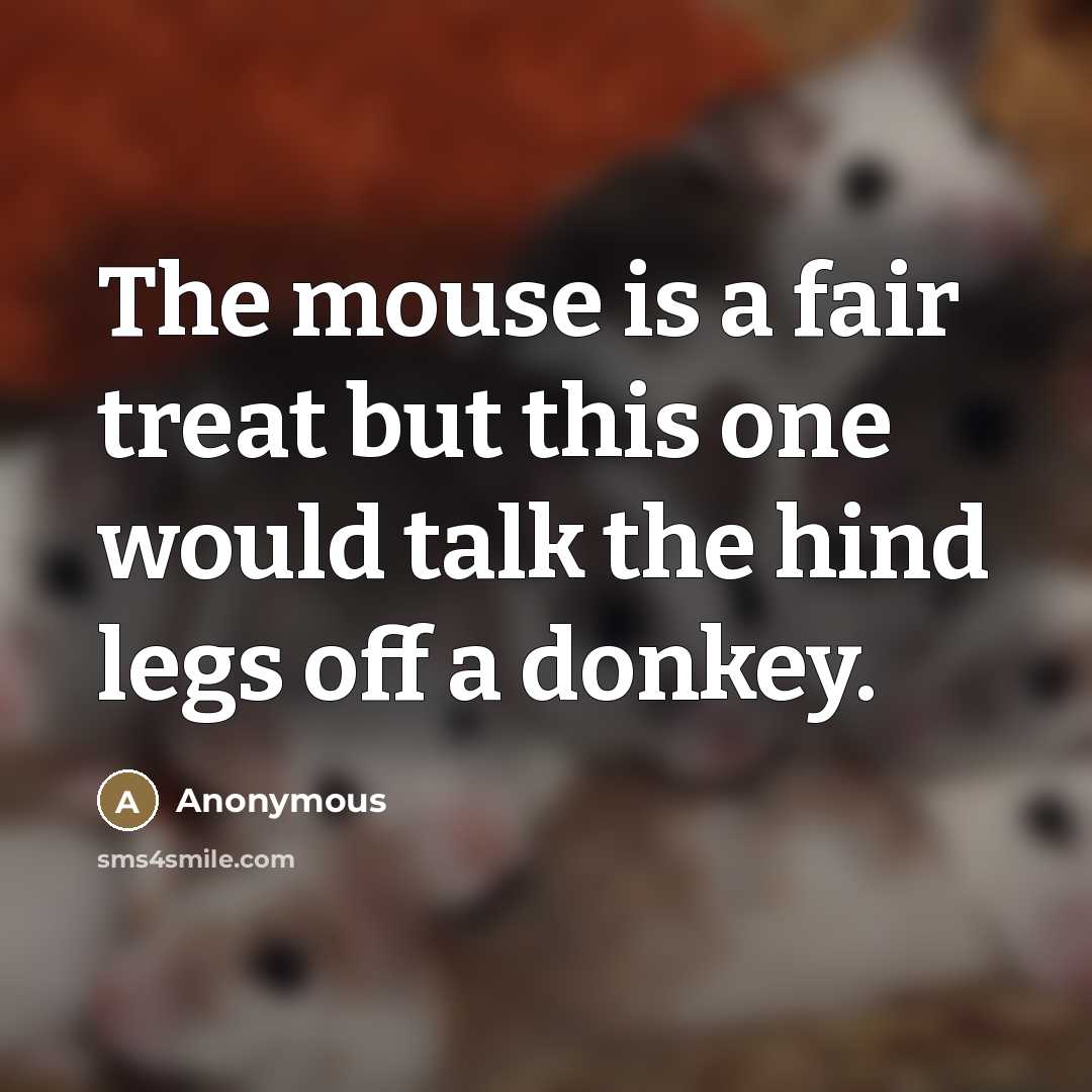 “The mouse is a fair treat but this one would…” quote by Anonymous