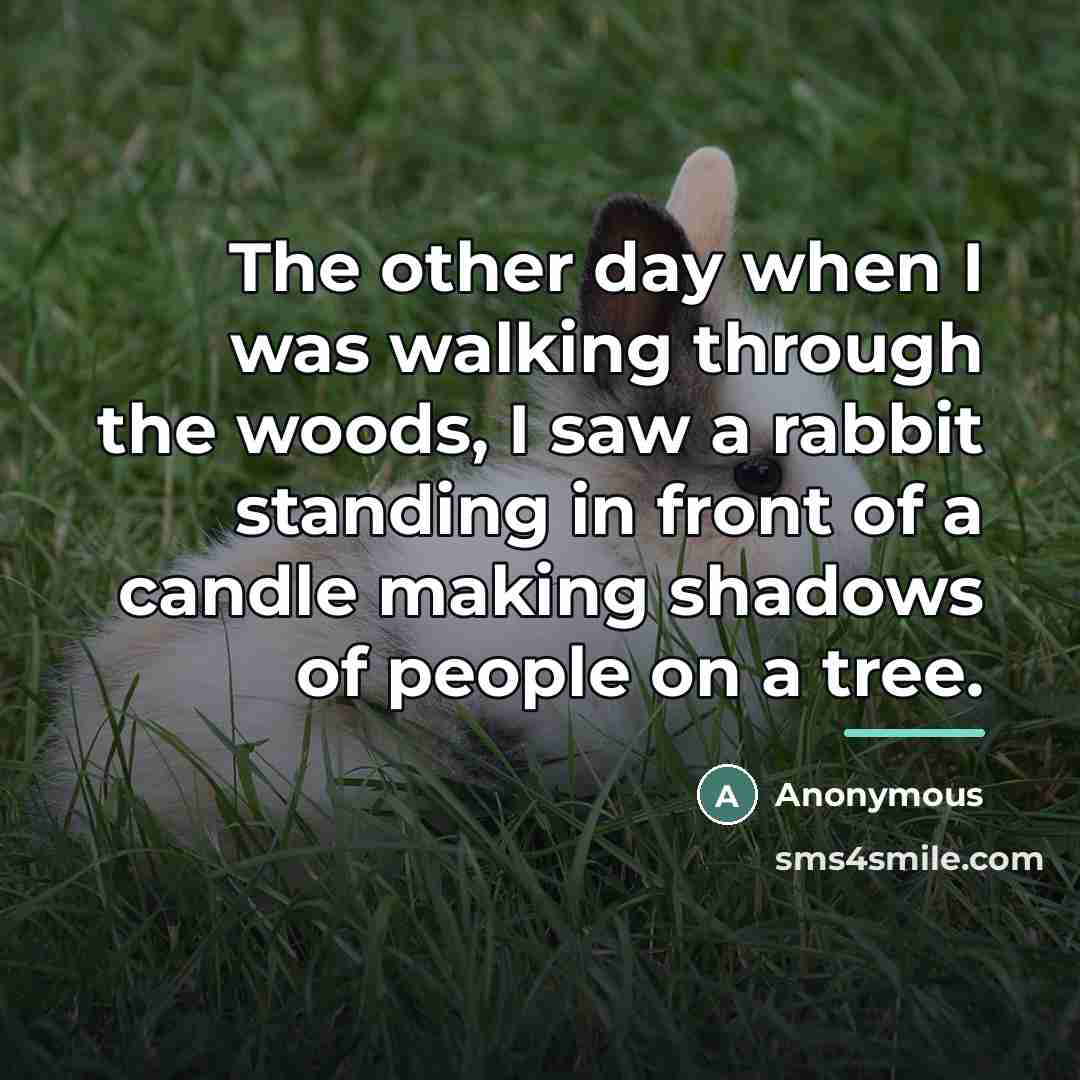 “The other day when I was walking through the woods,…” quote by Anonymous