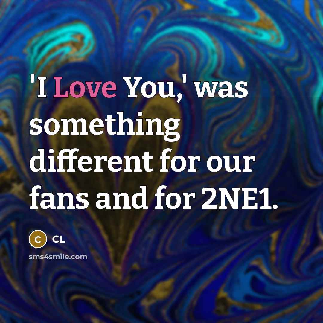 “'I Love You,' was something different for our fans and for 2NE1.” quote by CL