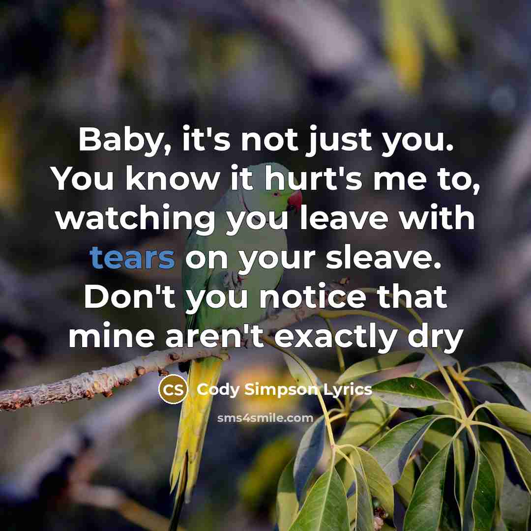 “Baby, it's not just you. You know it hurt's me to, watching you leave with tears on your sleave. Don't you notice that mine aren't exactly dry” quote by Cody Simpson Lyrics