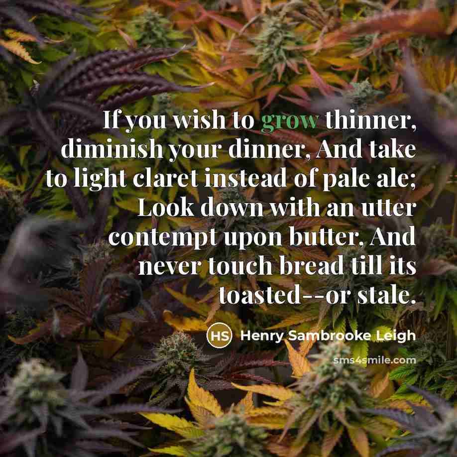 “If you wish to grow thinner, diminish your dinner, And…” quote by Henry Sambrooke Leigh