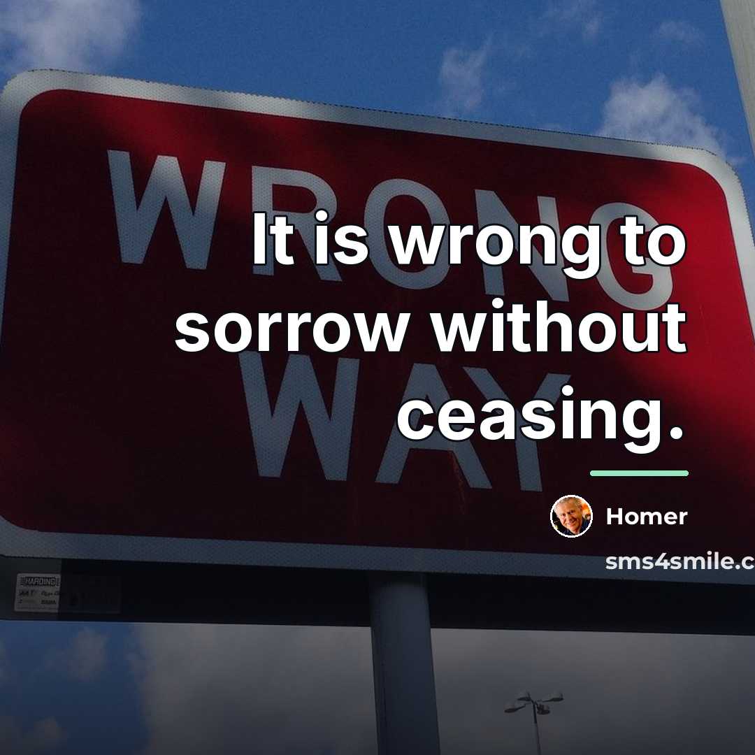 “It is wrong to sorrow without ceasing.…” quote by Homer