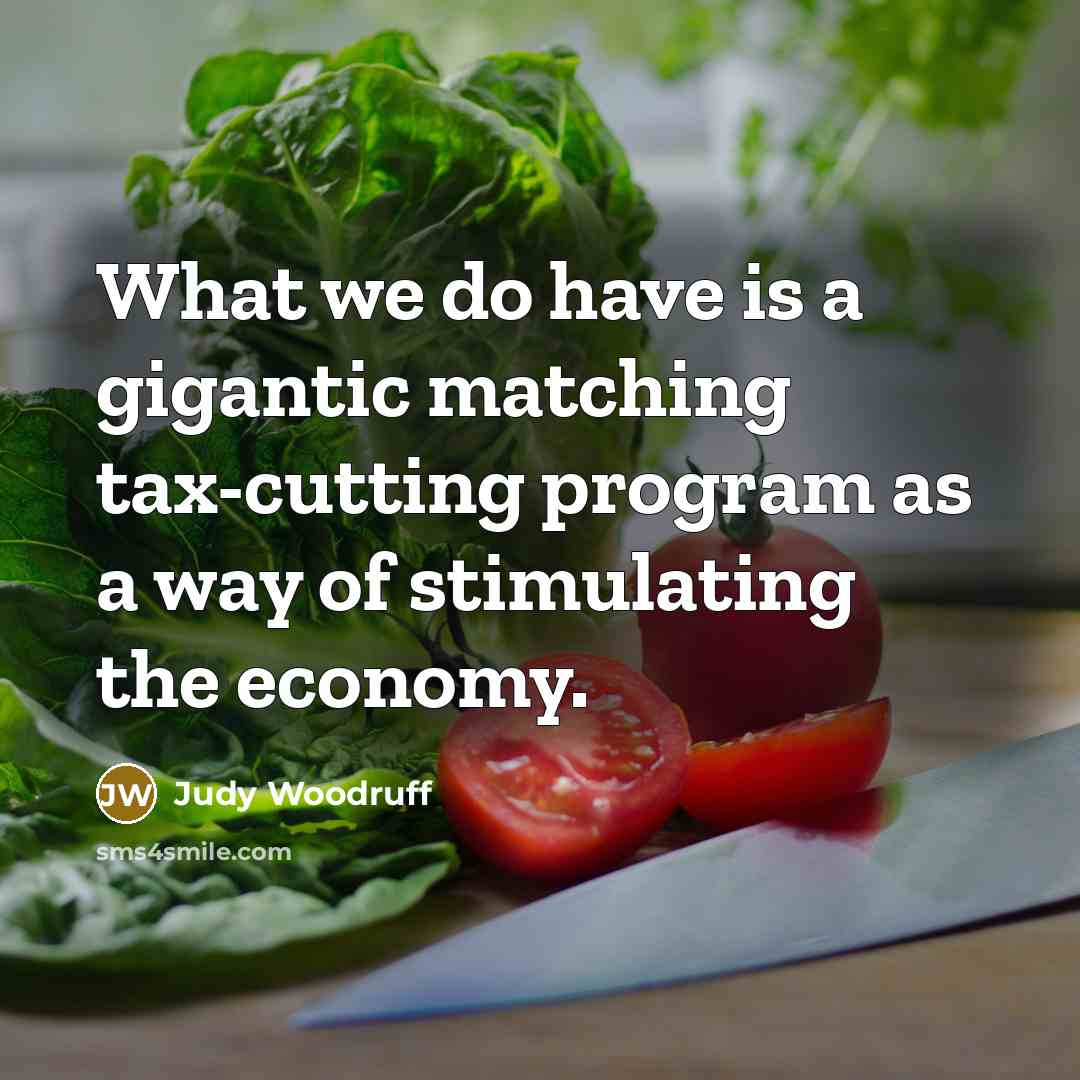 “What we do have is a gigantic matching tax-cutting program…” quote by Judy Woodruff