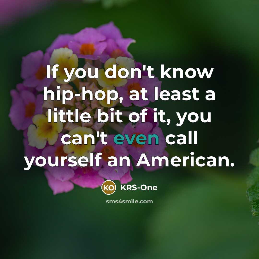 “If you don't know hip-hop, at least a little bit…” quote by KRS-One