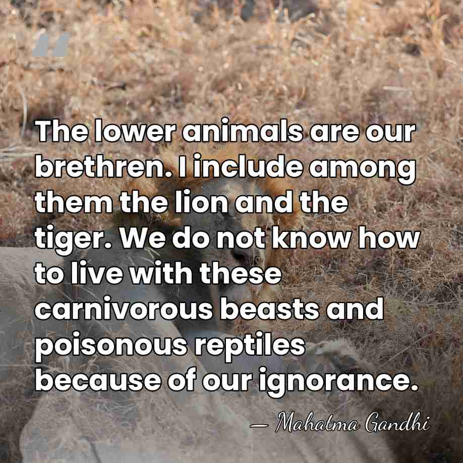 The lower animals are our brethren. I include among them the lion&hellip; - Mahatma Gandhi
