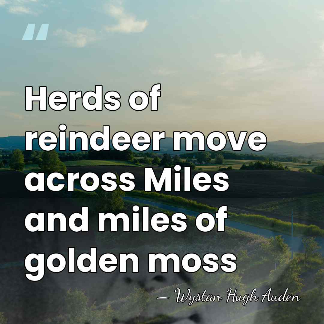 Herds of reindeer move across Miles and miles of golden moss - Wystan Hugh Auden