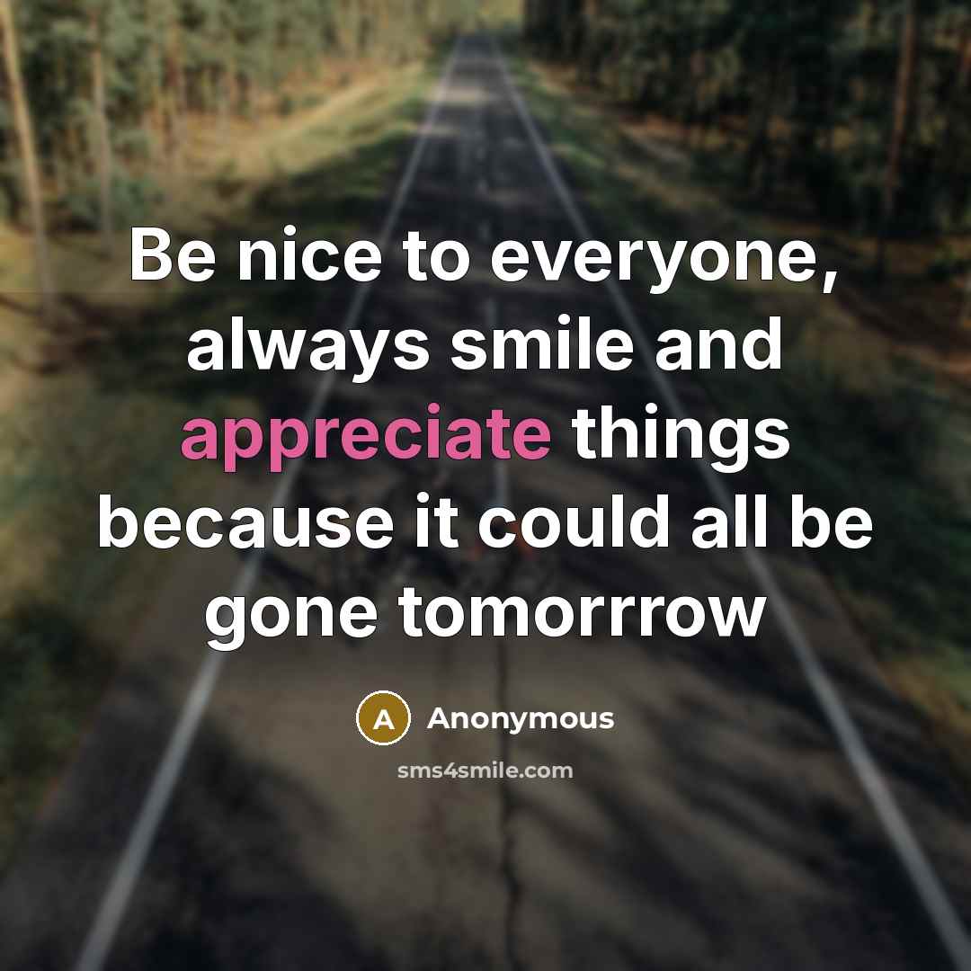 “Be nice to everyone, always smile and appreciate things because…” quote by Anonymous