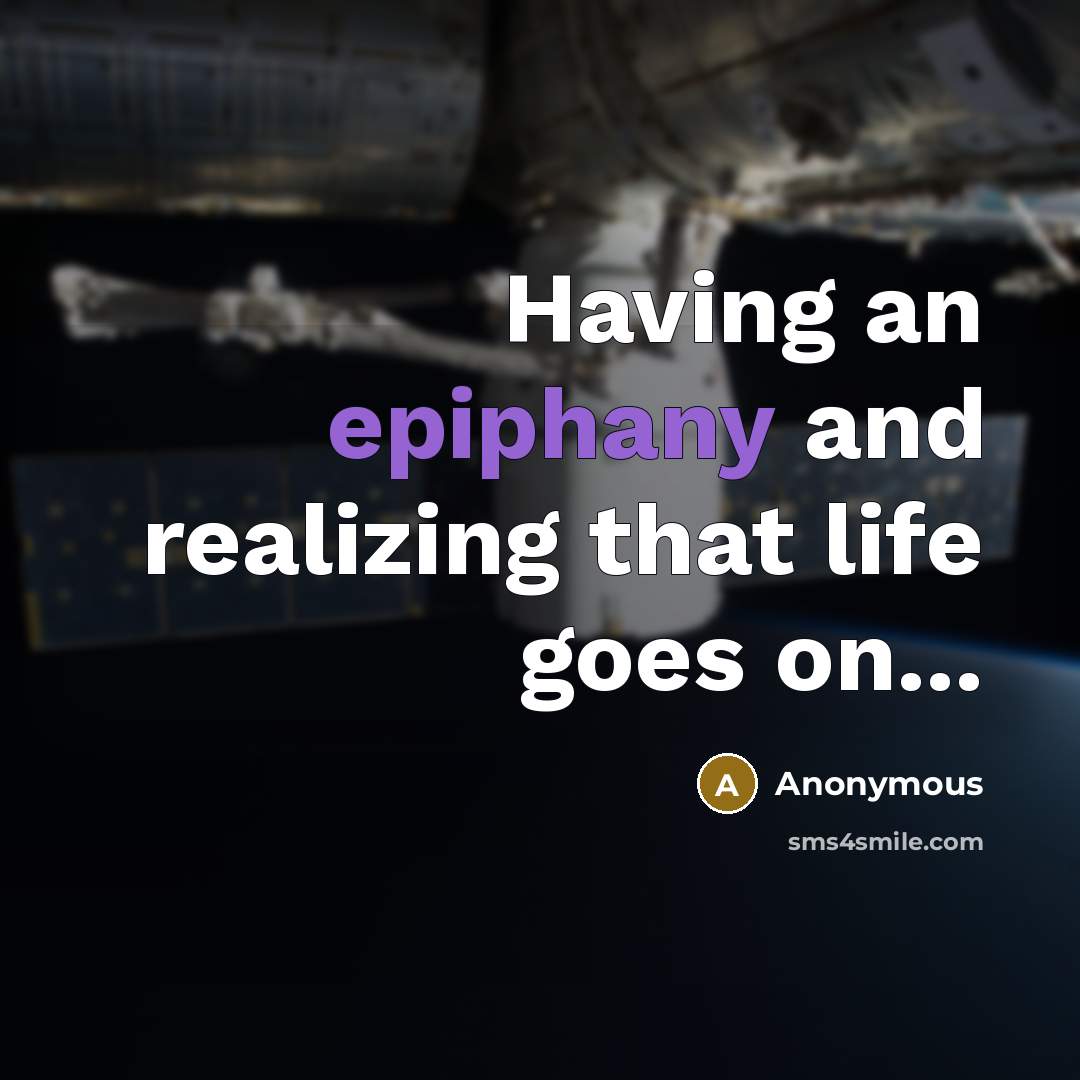 “Having an epiphany and realizing that life goes on...” quote by Anonymous
