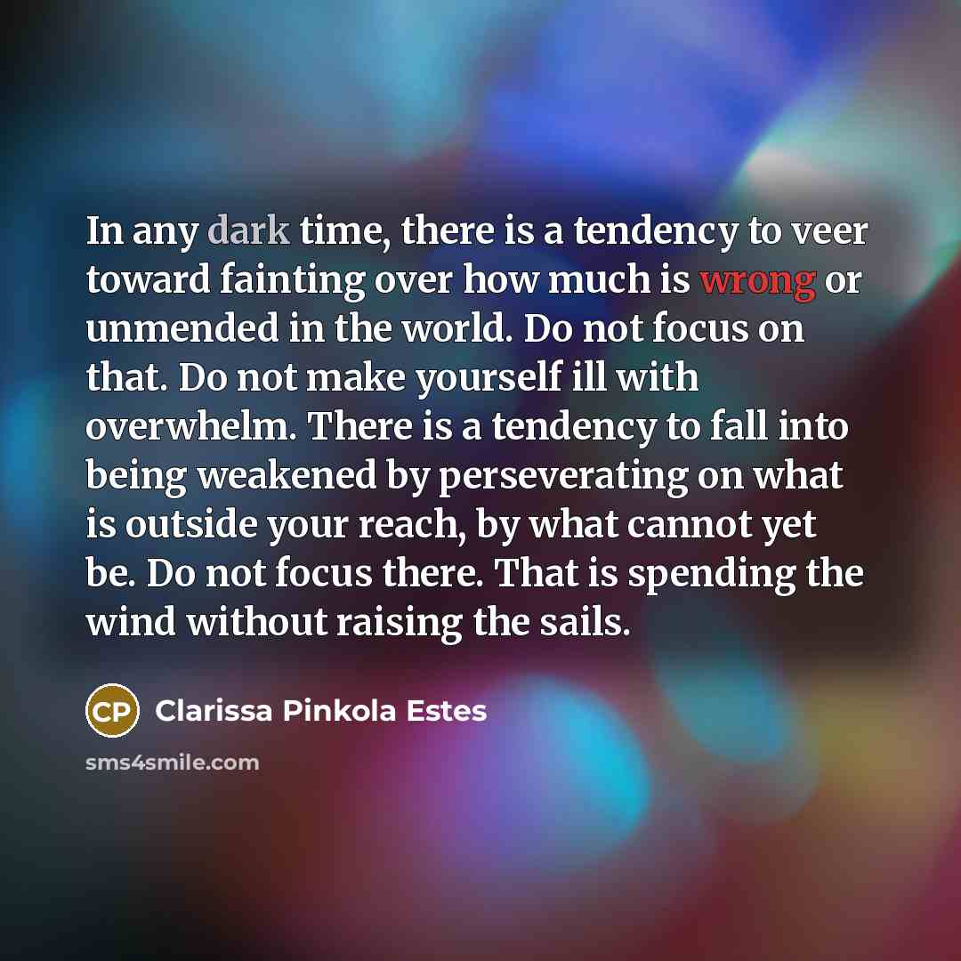 “In any dark time, there is a tendency to veer…” quote by Clarissa Pinkola Estes