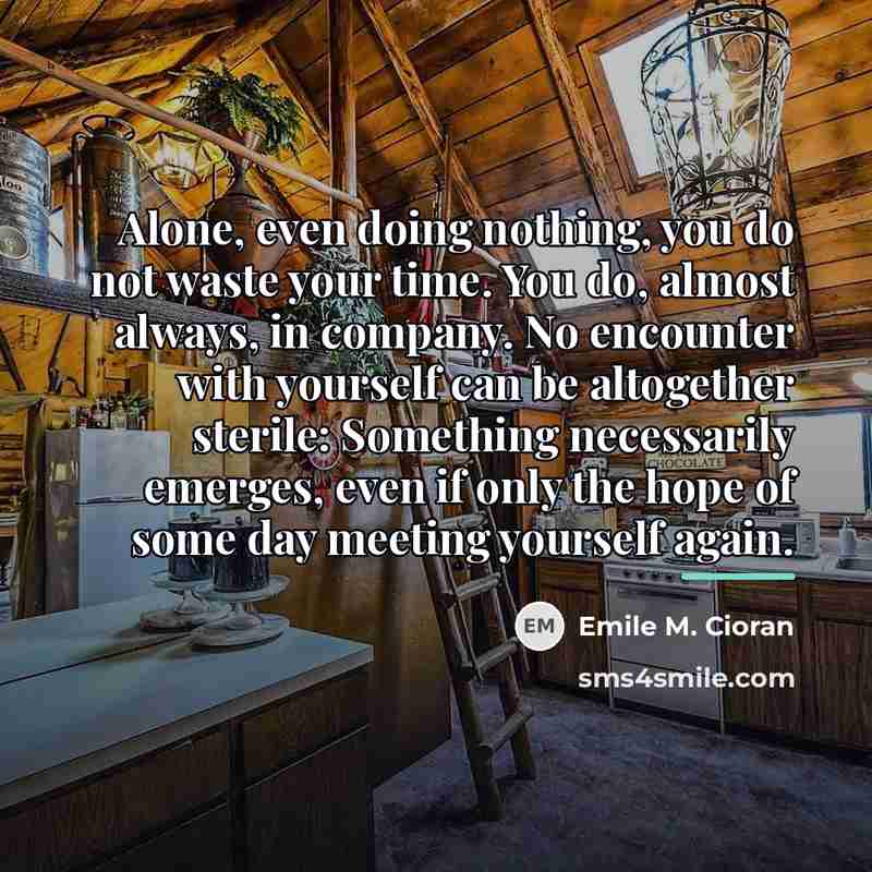 “Alone, even doing nothing, you do not waste your time.…” quote by Emile M. Cioran
