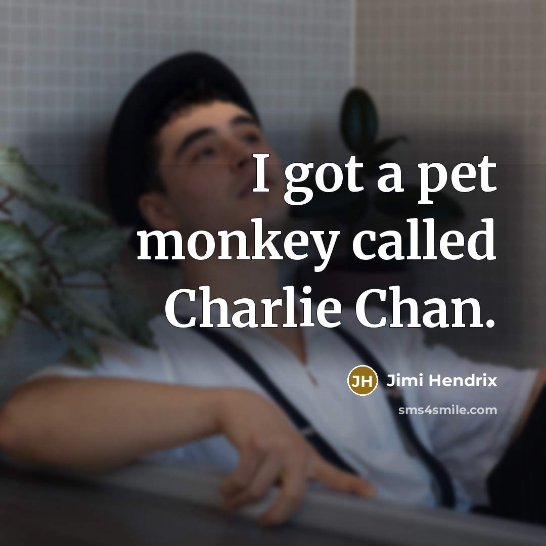 “I got a pet monkey called Charlie Chan.…” quote by Jimi Hendrix