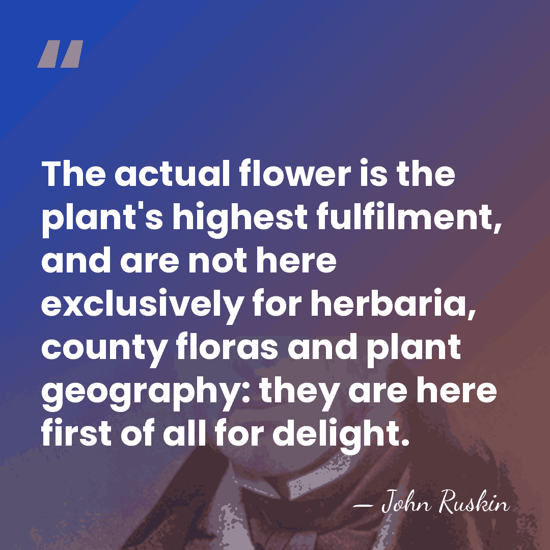 The actual flower is the plant's highest fulfilment, and are not here&hellip; - John Ruskin