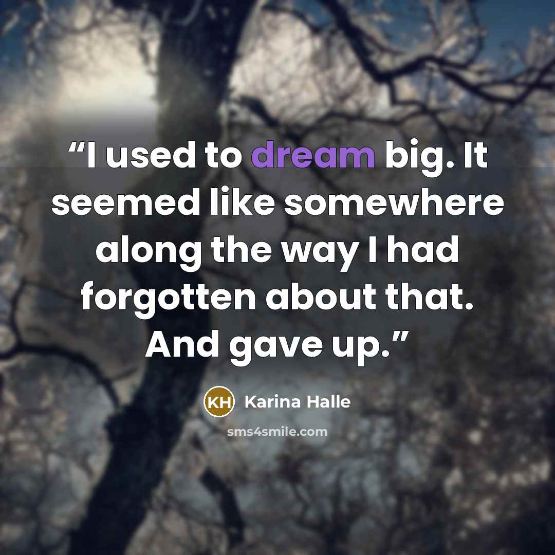 “I used to dream big. It seemed like somewhere along the way I had forgotten about that. And gave up.” quote by Karina Halle