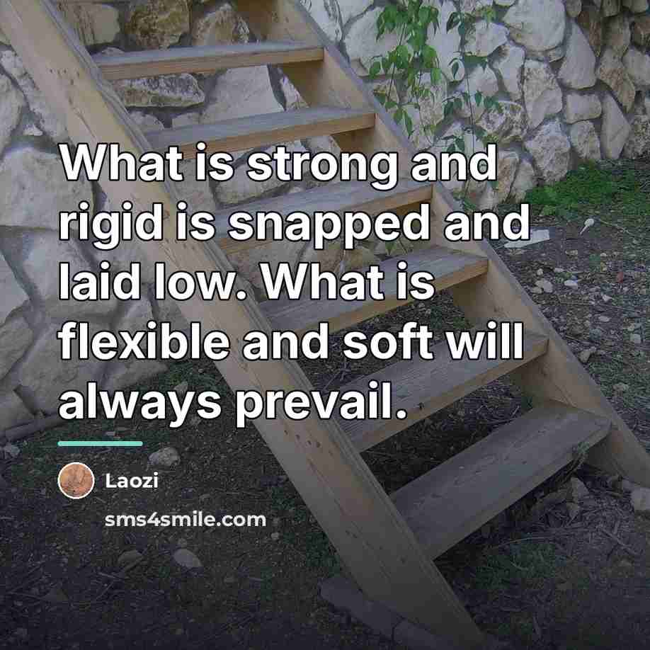 “What is strong and rigid is snapped and laid low.…” quote by Laozi