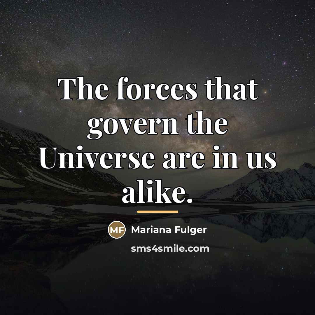 “The forces that govern the Universe are in us alike.…” quote by Mariana Fulger