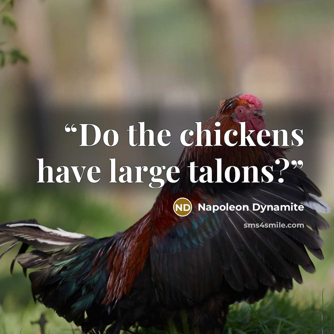 “Do the chickens have large talons?” quote by Napoleon Dynamite