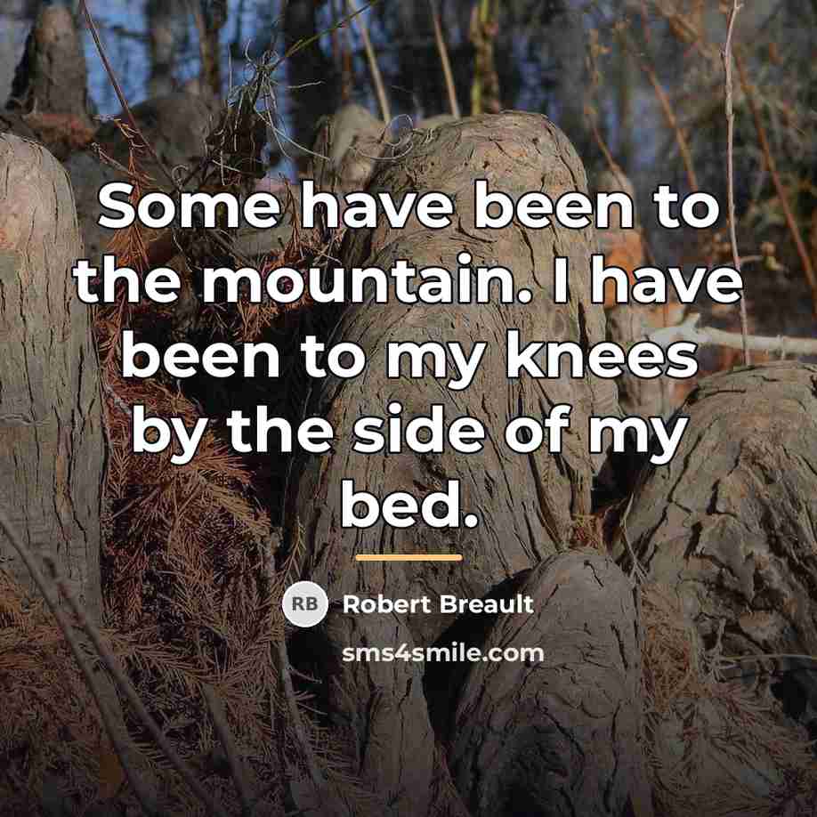 “Some have been to the mountain. I have been to…” quote by Robert Breault