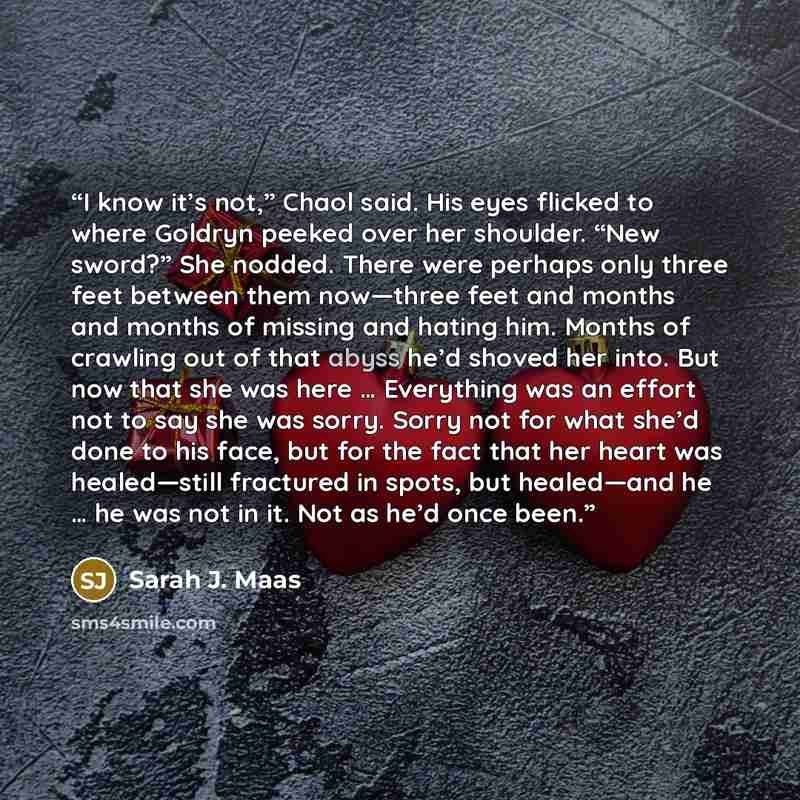 “I know it’s not,” Chaol said. His eyes flicked to where Goldryn peeked over her shoulder. “New sword?” She nodded. There were perhaps only three feet between them now—three feet and months and months of missing and hating him. Months of crawling out of that abyss he’d shoved her into. But now that…” quote by Sarah J. Maas