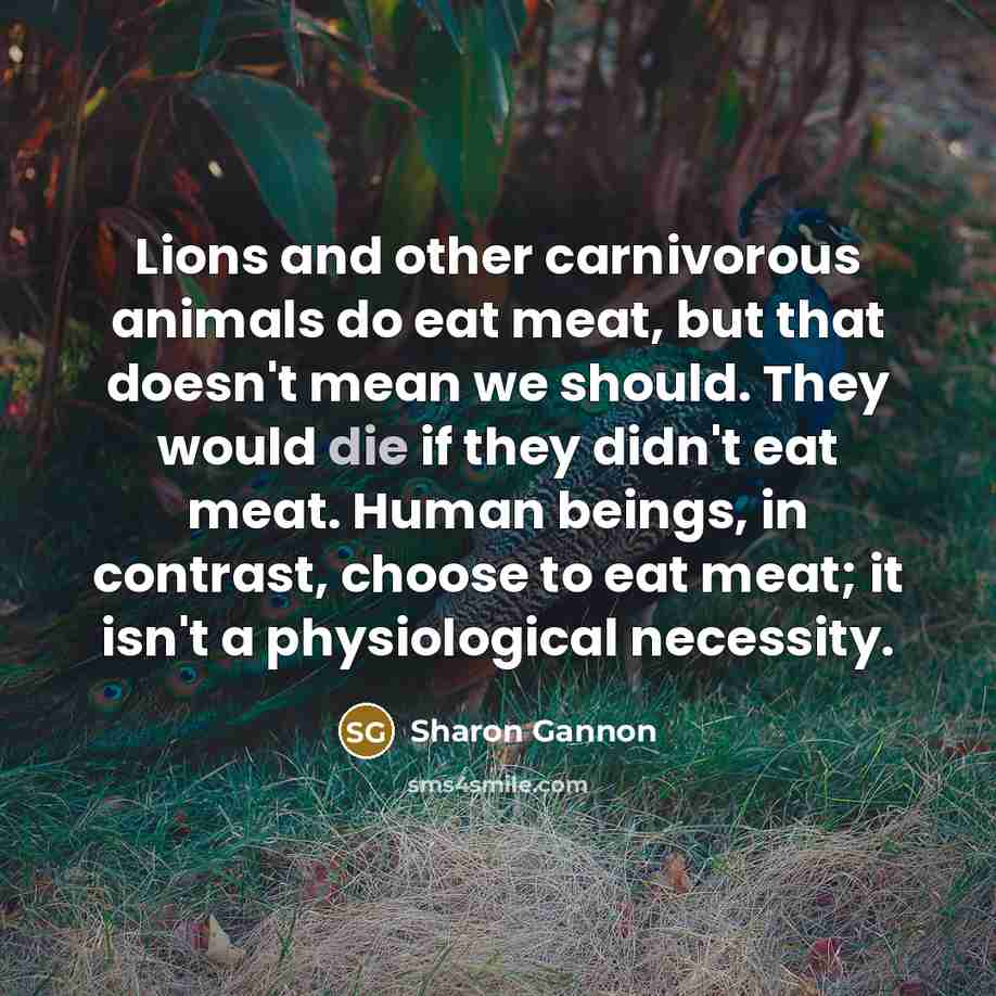 “Lions and other carnivorous animals do eat meat, but that…” quote by Sharon Gannon