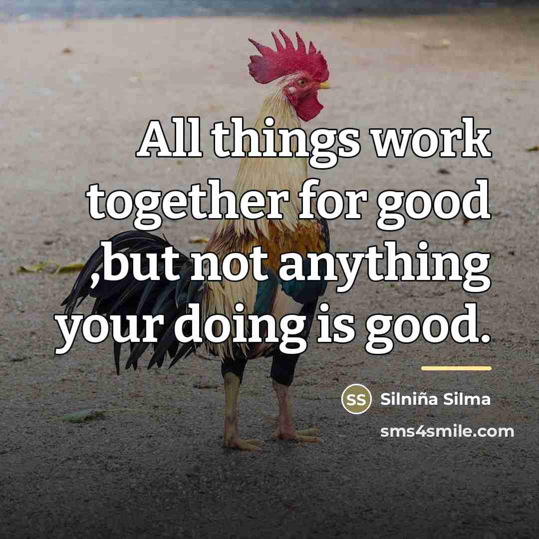 “All things work together for good ,but not anything your…” quote by Silniña Silma