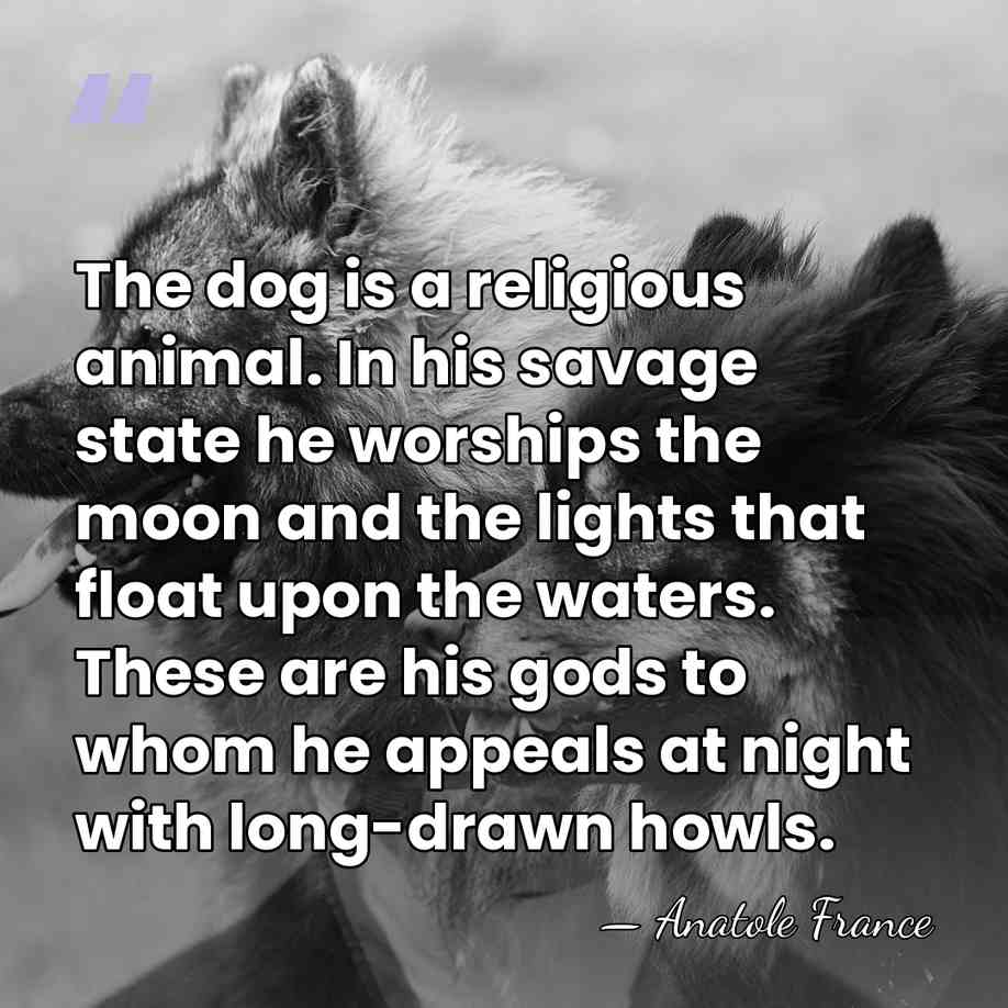 The dog is a religious animal. In his savage state he worships&hellip; - Anatole France
