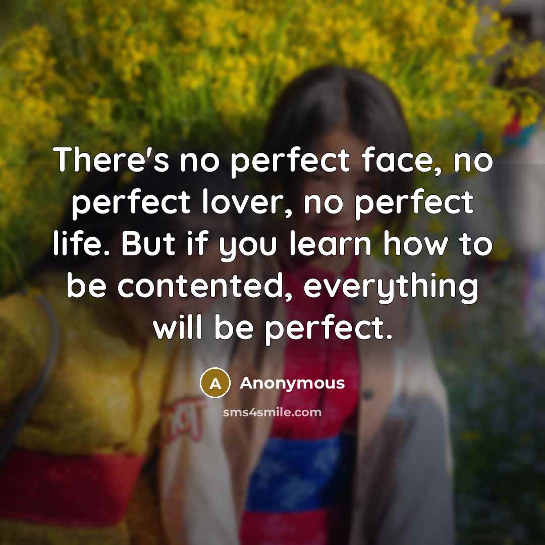 “There's no perfect face, no perfect lover, no perfect life.…” quote by Anonymous