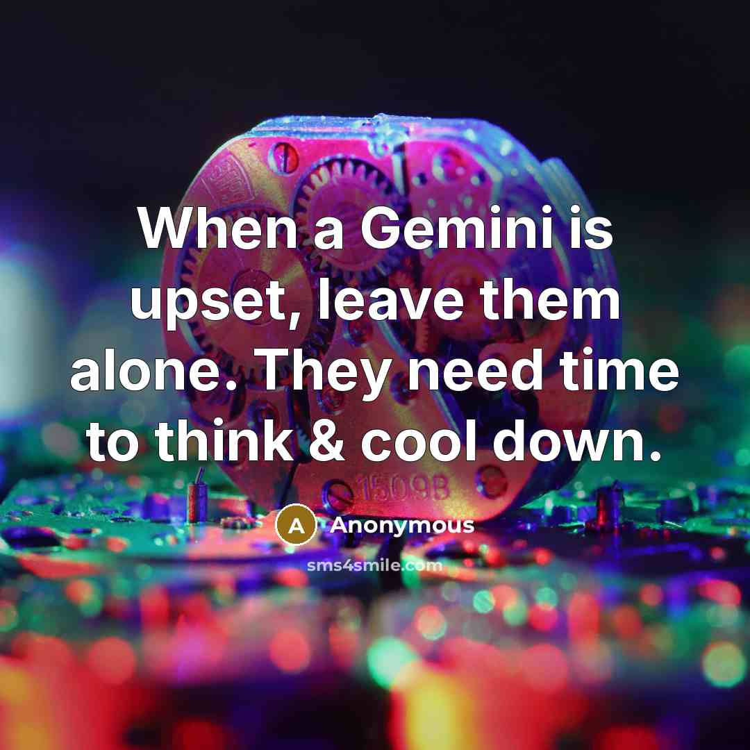 “When a Gemini is upset, leave them alone. They need time to think & cool down.” quote by Anonymous