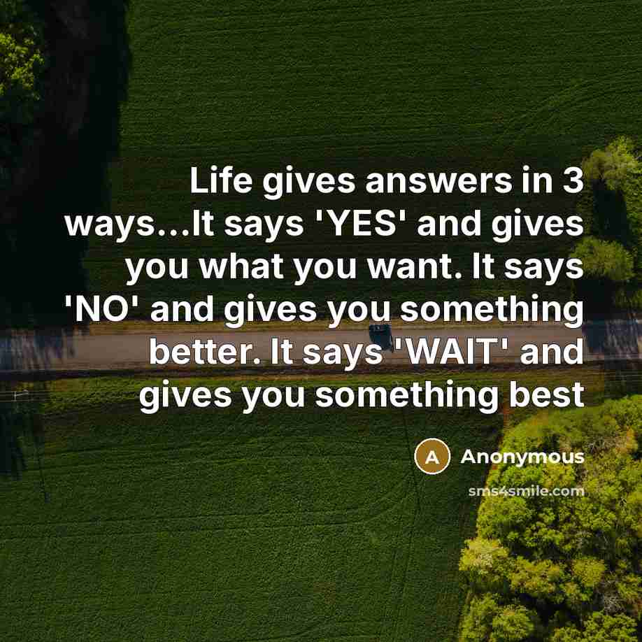 “Life gives answers in 3 ways...It says 'YES' and gives you what you want. It says 'NO' and gives you something better. It says 'WAIT' and gives you something best” quote by Anonymous