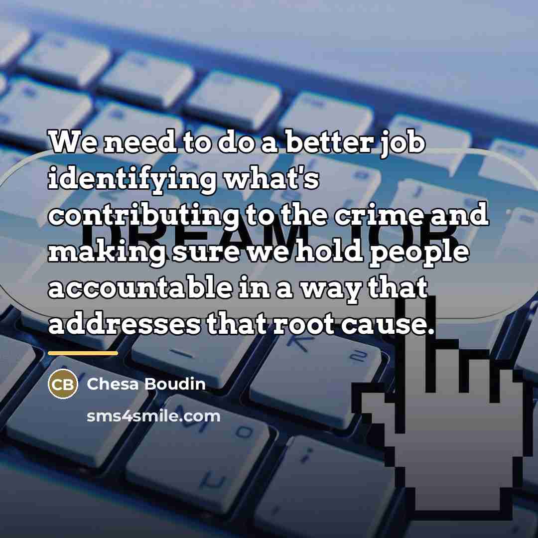 “We need to do a better job identifying what's contributing…” quote by Chesa Boudin