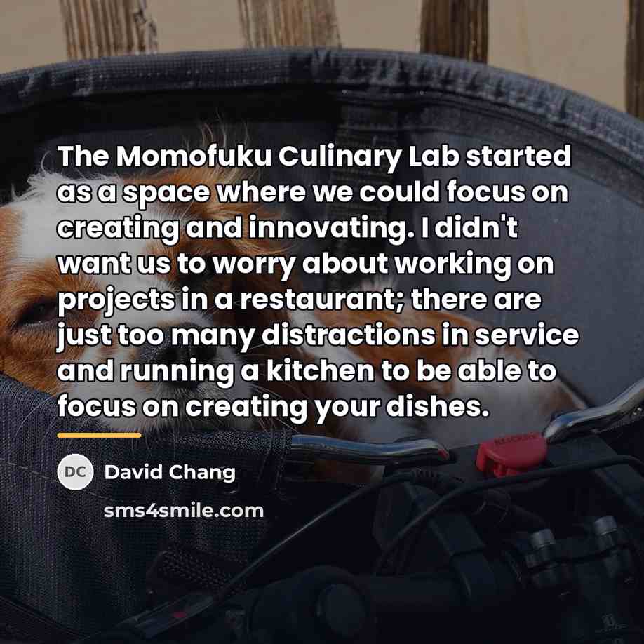“The Momofuku Culinary Lab started as a space where we…” quote by David Chang