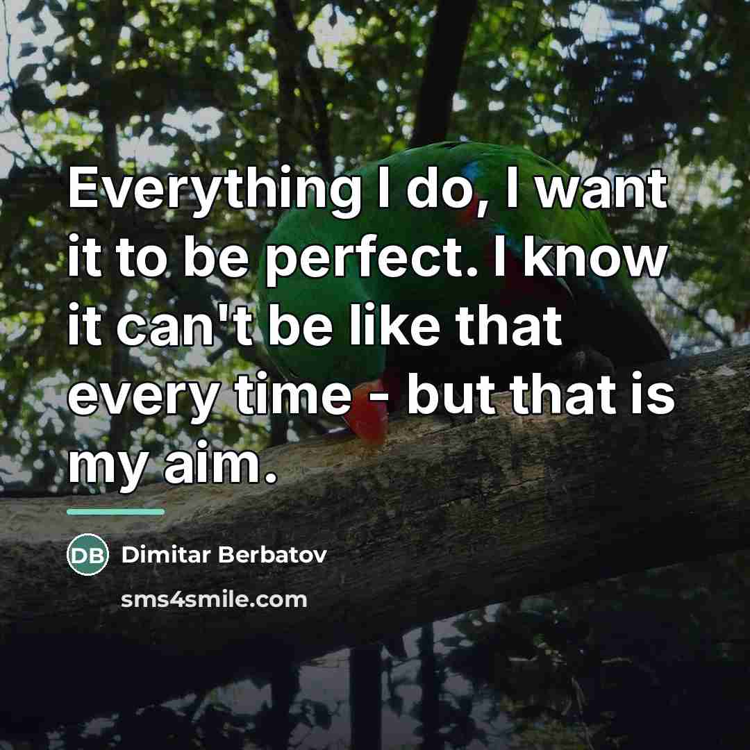 “Everything I do, I want it to be perfect. I…” quote by Dimitar Berbatov