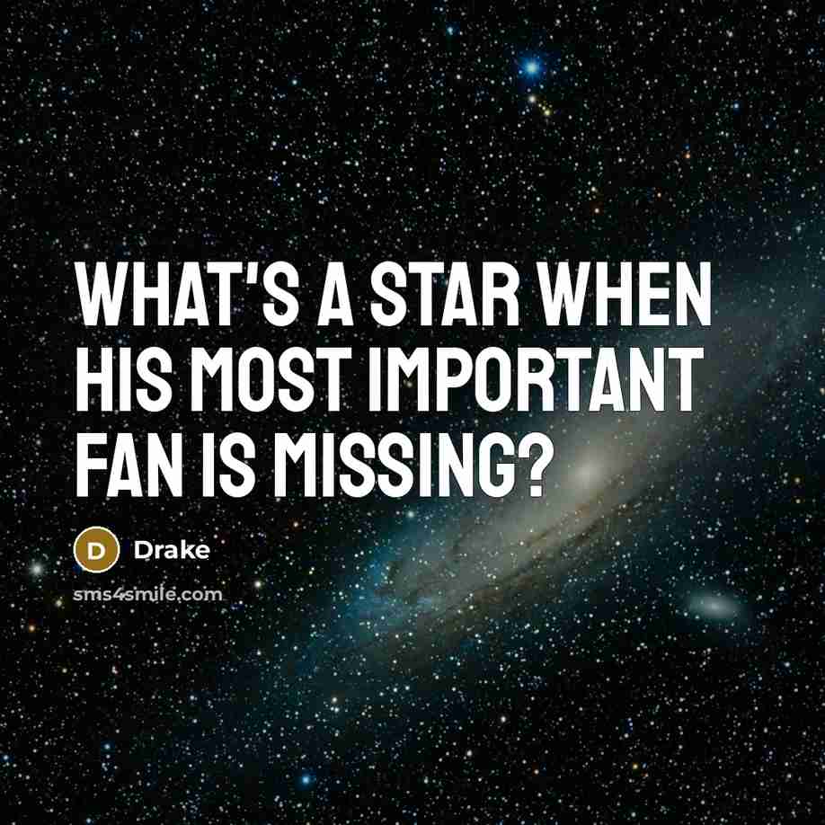 “What's a star when his most important fan is missing?…” quote by Drake