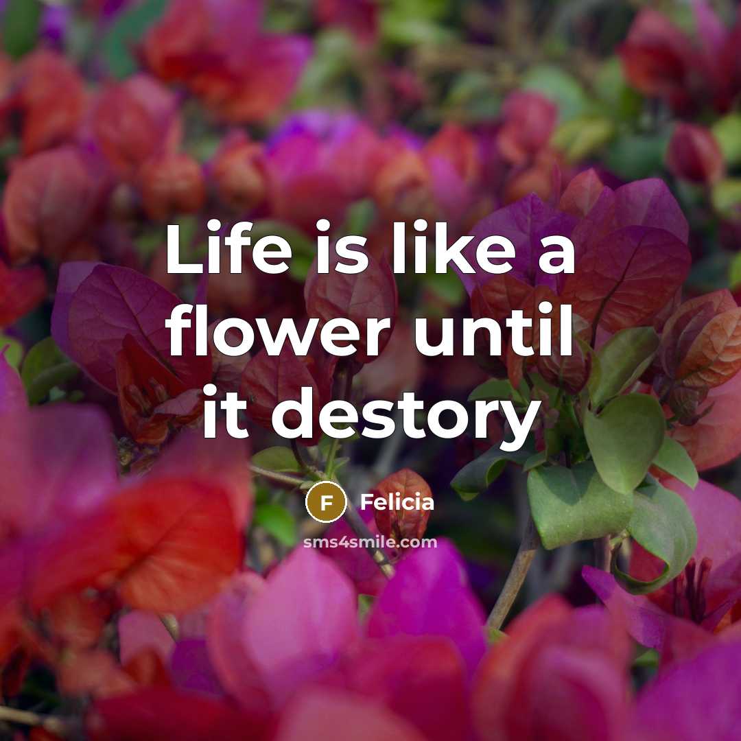 “Life is like a flower until it destory…” quote by Felicia
