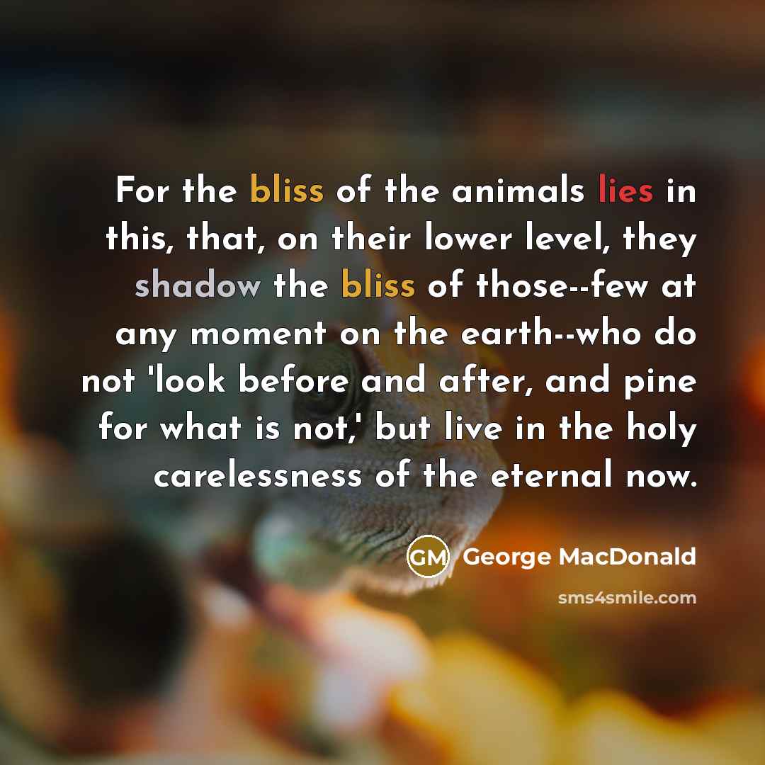 “For the bliss of the animals lies in this, that,…” quote by George MacDonald
