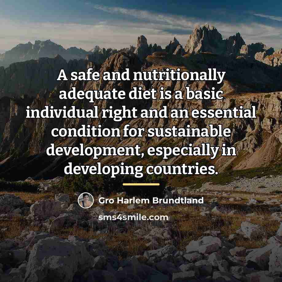 “A safe and nutritionally adequate diet is a basic individual…” quote by Gro Harlem Brundtland