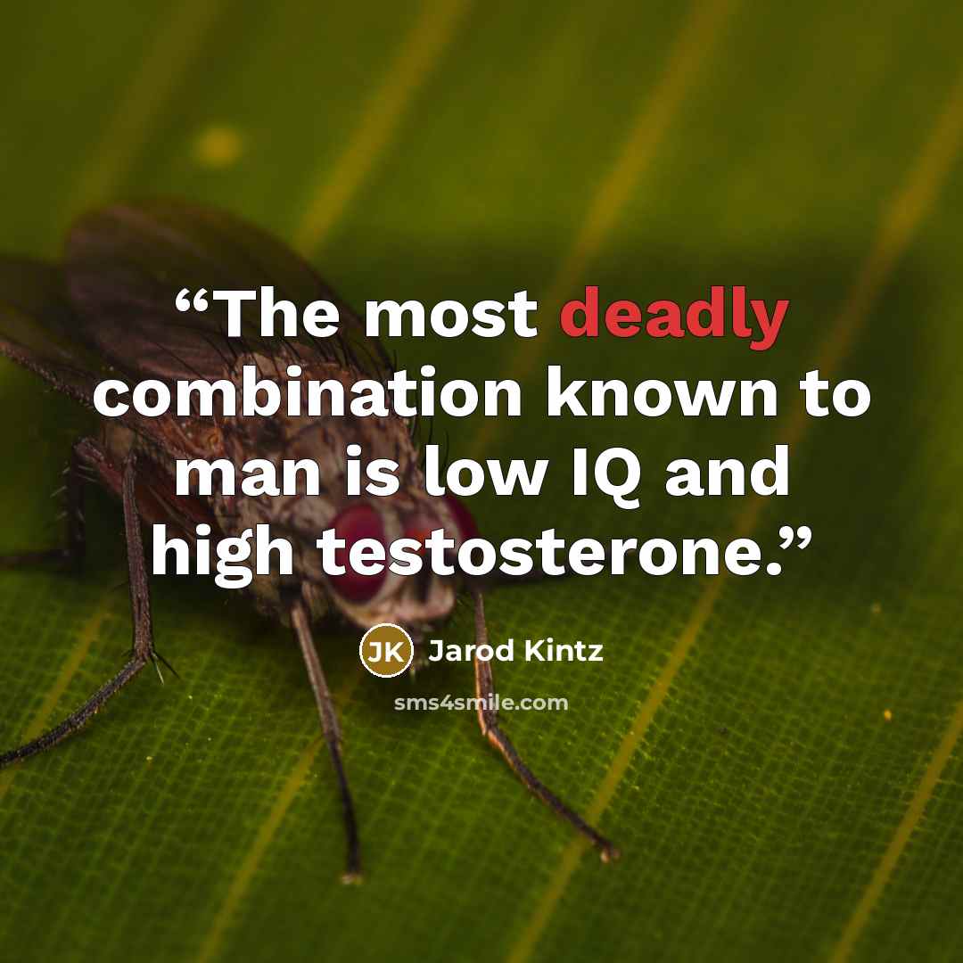 “The most deadly combination known to man is low IQ and high testosterone.” quote by Jarod Kintz