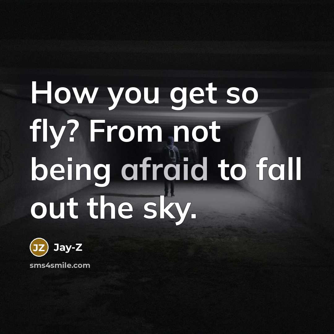 “How you get so fly? From not being afraid to fall out the sky.” quote by Jay-Z