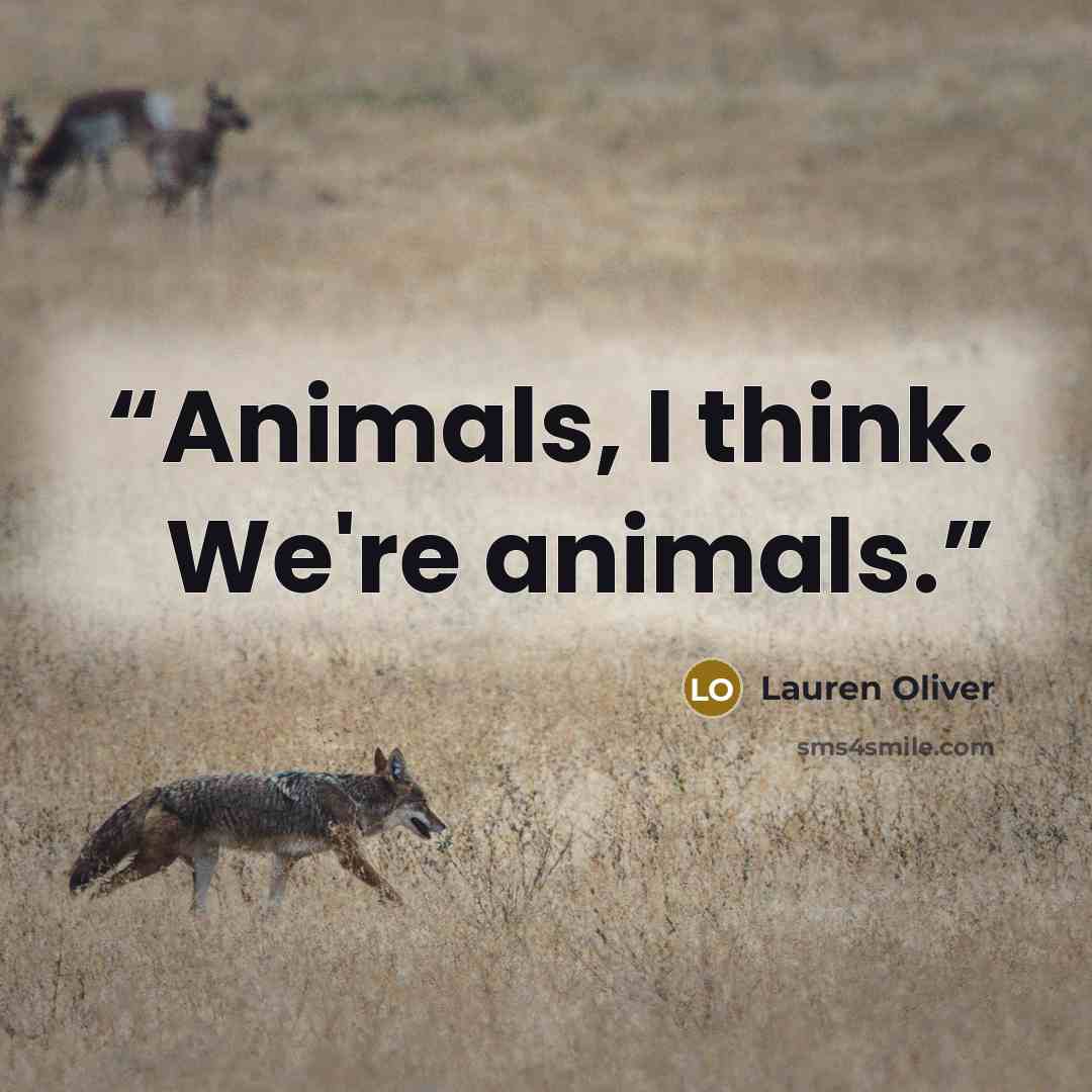 “Animals, I think. We're animals.” quote by Lauren Oliver